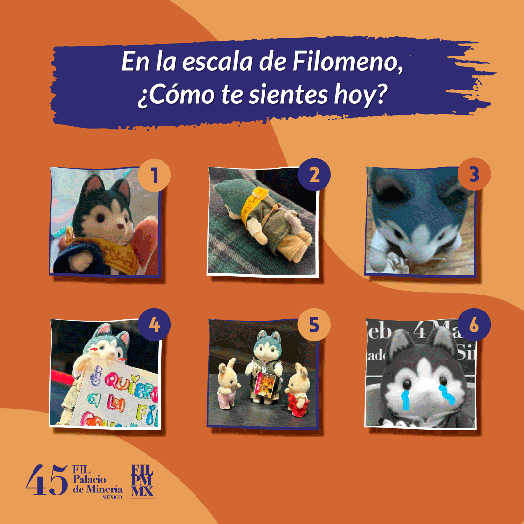 En la escala de Filomeno, ¿cómo te sientes hoy? #LeerEsEstarVivo #FILPM2024 #FILPM45 #FILMinería #CDMX #ternurines