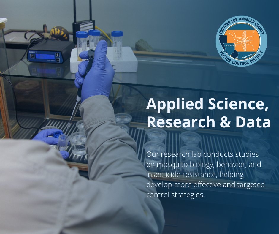 GLAmosquito's tweet photo. Our research lab conducts studies on mosquito biology, behavior, and insecticide resistance, helping develop more effective and targeted control strategies. #GLACVCD https://t.co/DCEZBUY0iy