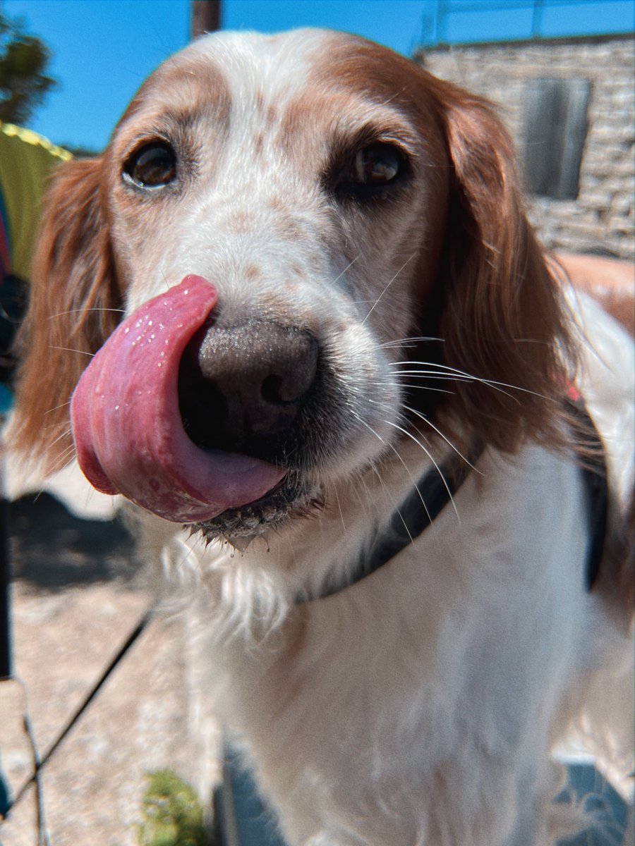 Alessia Perretti tweet media