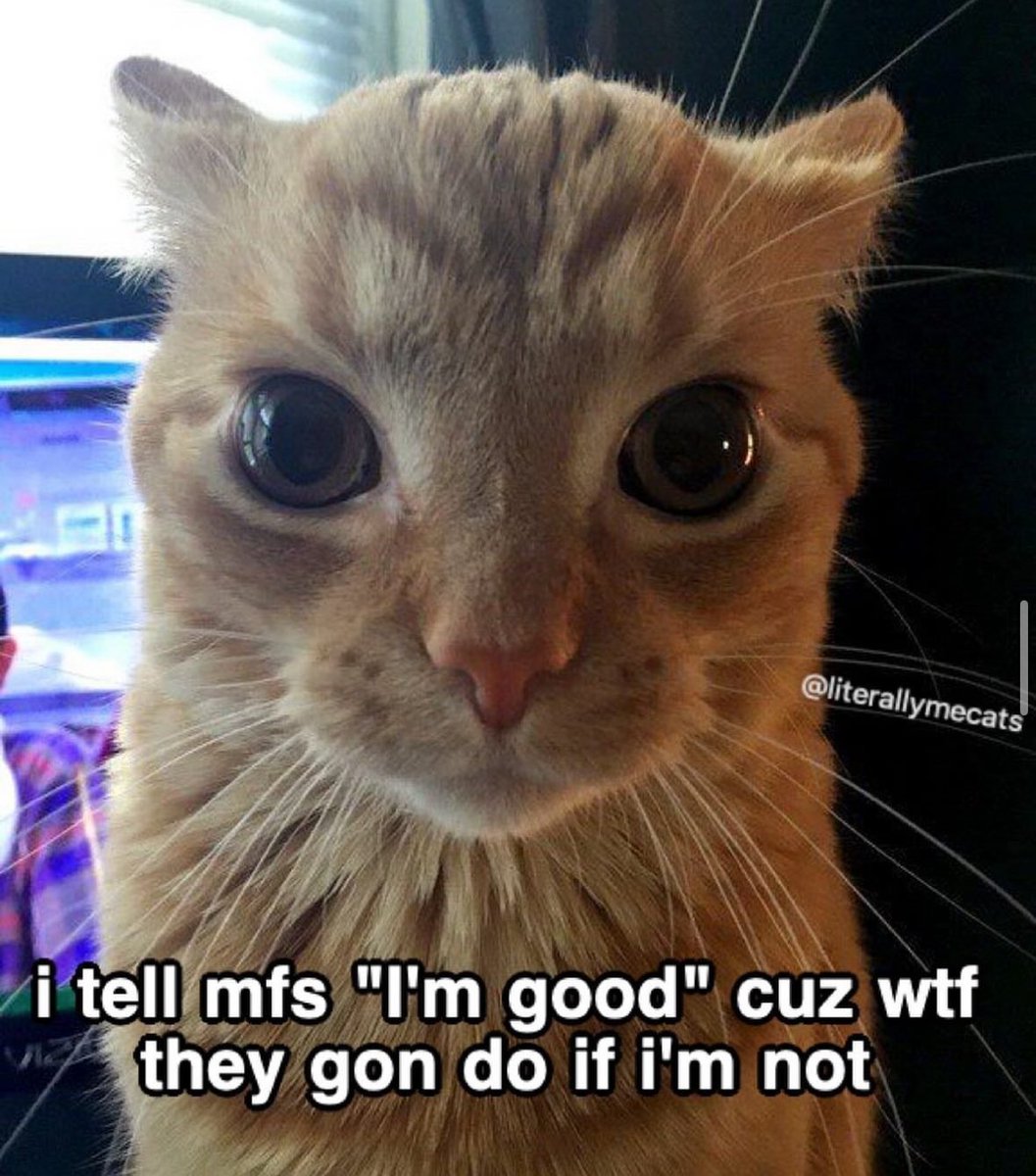 literallymecats's tweet photo. https://t.co/F8c3Dq4tgy