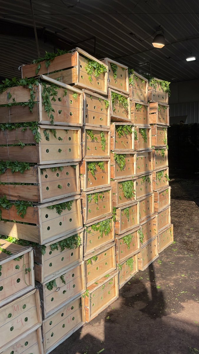 AALP Class tweet media