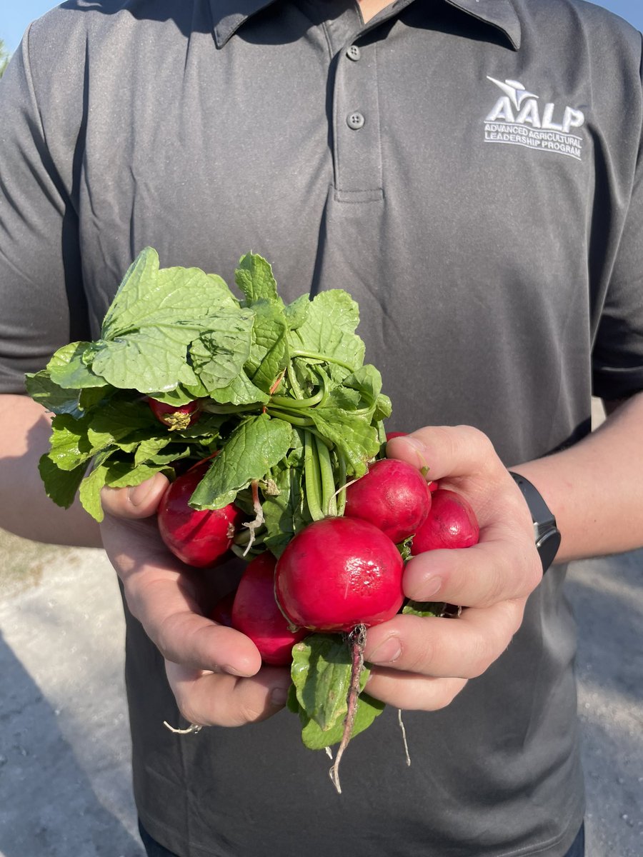 AALP Class tweet media