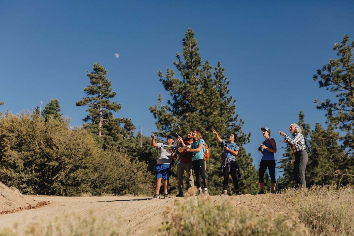 Something to look forward to this summer? How about Chirp's #birdwalks?! Mark your calendars for the SECOND Saturday of each month. Starting in May, bird walks will return and we can't wait to get outside with our fellow #naturelovers #birders #bigbearlake #hiking #chirpforbirds