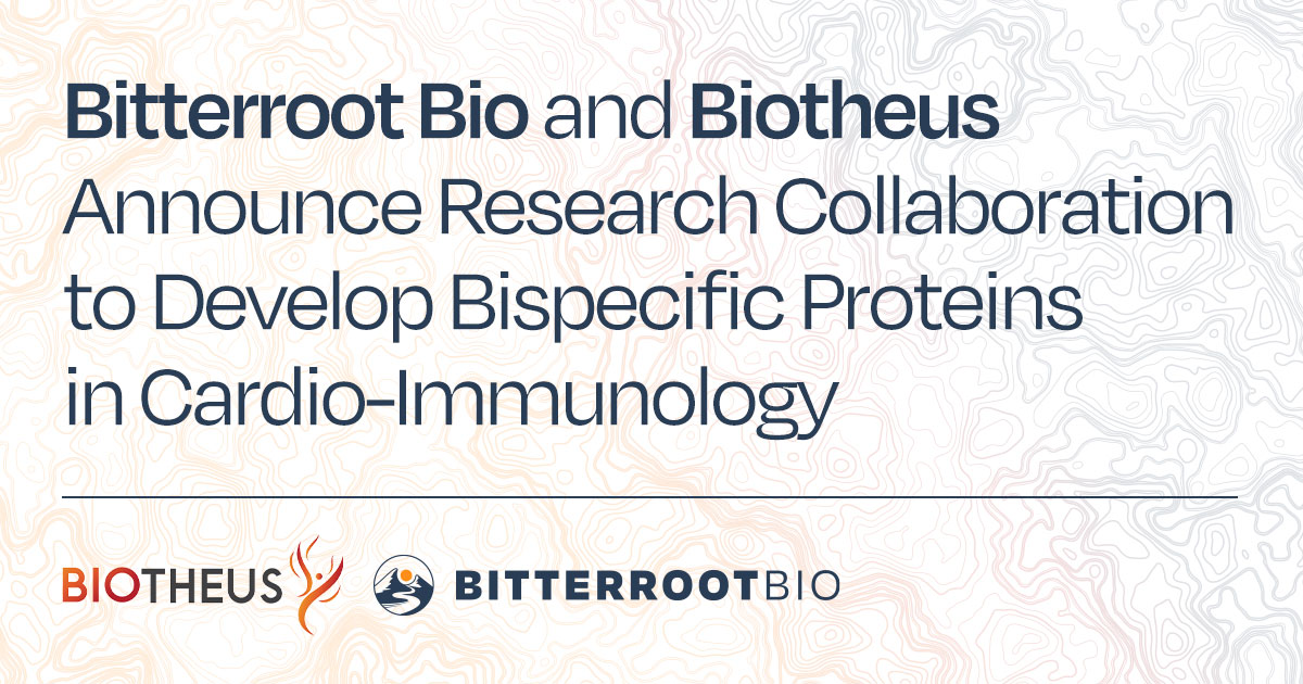 Today, we're delighted to announce our collaboration with Biotheus Inc., aiming to discover bispecific proteins targeting immune modulators and inflammatory pathways in cardiovascular disease. Details in our press release: brbio.com/bitterroot-bio… #Innovation #collaboration
