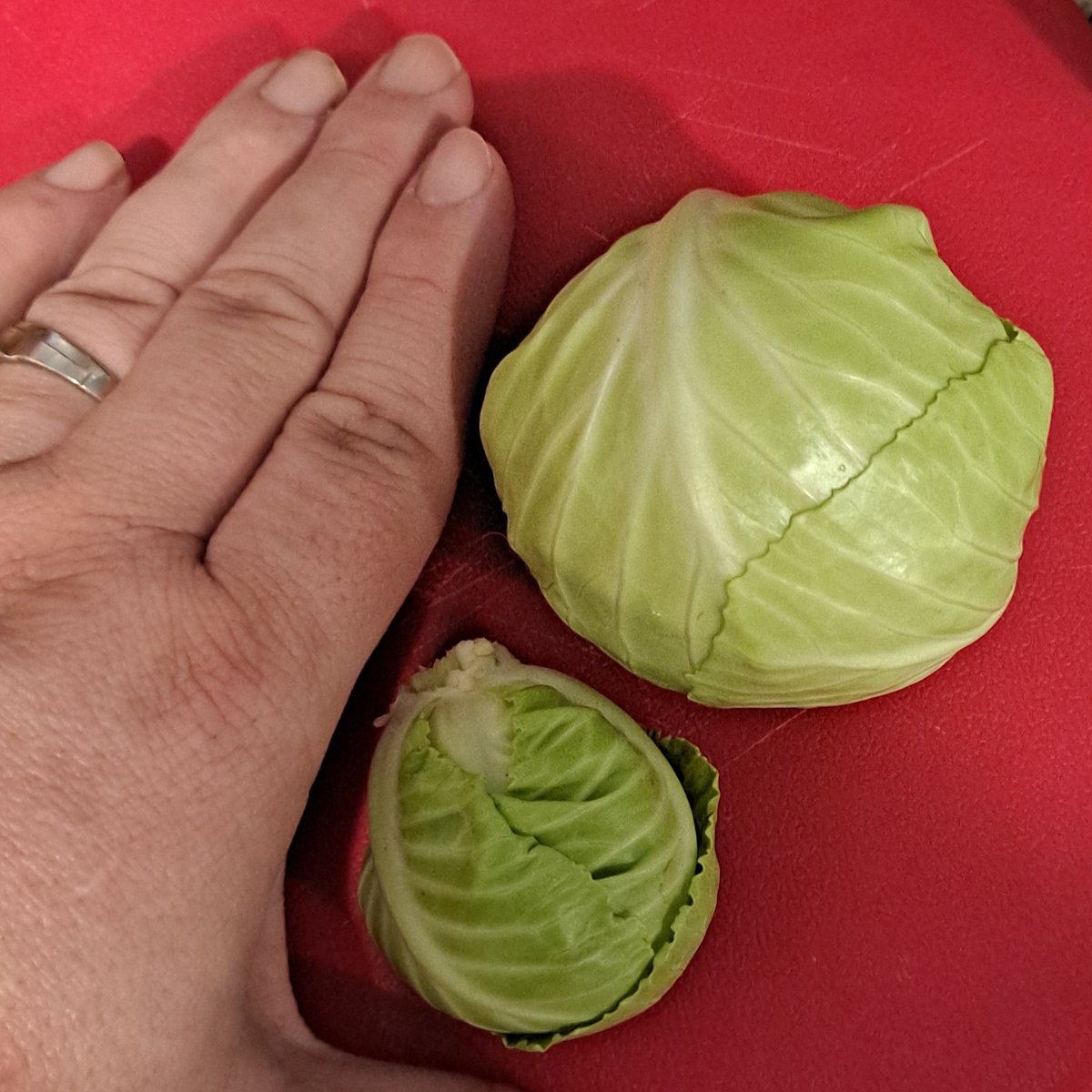 Tonight, I #harvested my baby #cabbages, because there just wasn't going to be enough time for them to size up, and I need to refurb the bed they were in. Still, they're dinner tonight, and still tasty. #RaisedBedGarden #HomeGarden #HomeGrown #SquareFootGarden #NoDigGarden