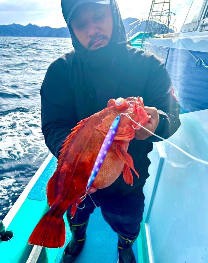 palms_global's tweet image. Slow Jigging with Slow Blatt L in Japan 🇯🇵 
Rod: METAL WITCH QUEST 
Lure: Slow Blatt L 
Thank you Kazu !! 
#palmsfishing #slowjigging #slowjig #slowpitchjigging #offshorejigging #jigging #deepseafishing @palms_japan