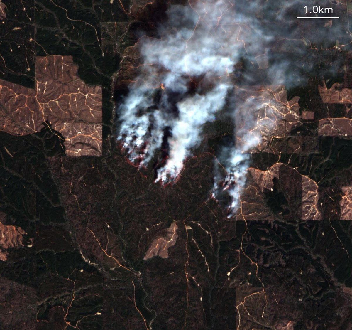 HotshotWake's tweet image. A beautiful look over Clarke County, Alabama. 

If you haven’t noticed yet, Fire season has started. 
#ALfire #alwx #wildfire #earth