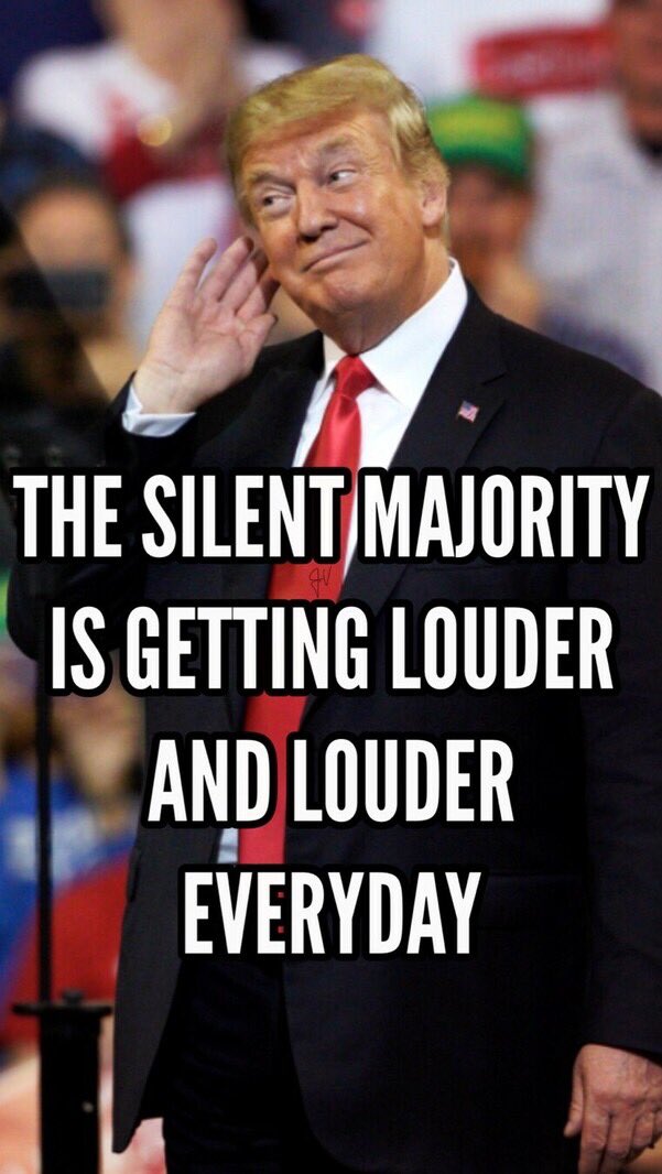 Raise your hand if you’re apart of the silent majority that’s going to take our country BACK by voting for Trump in November 🙋‍♂️🙋‍♂️🙋‍♂️