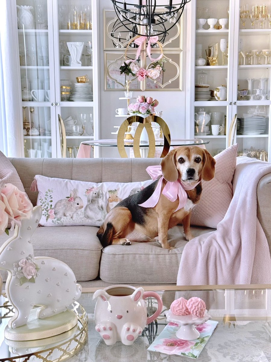 DecoratorDiva1's tweet image. Spring is on the way and lots of Bunnies are multiplying in my home😂 Here’s a pic of my cutest Beagle Bunny!😉🐰🎀🐶@BeagleTopazthe 

#BeagleLover #BunnyDecor #SpringDecorating #EasterDecor #PinkHome #PinkLover @beaglefacts