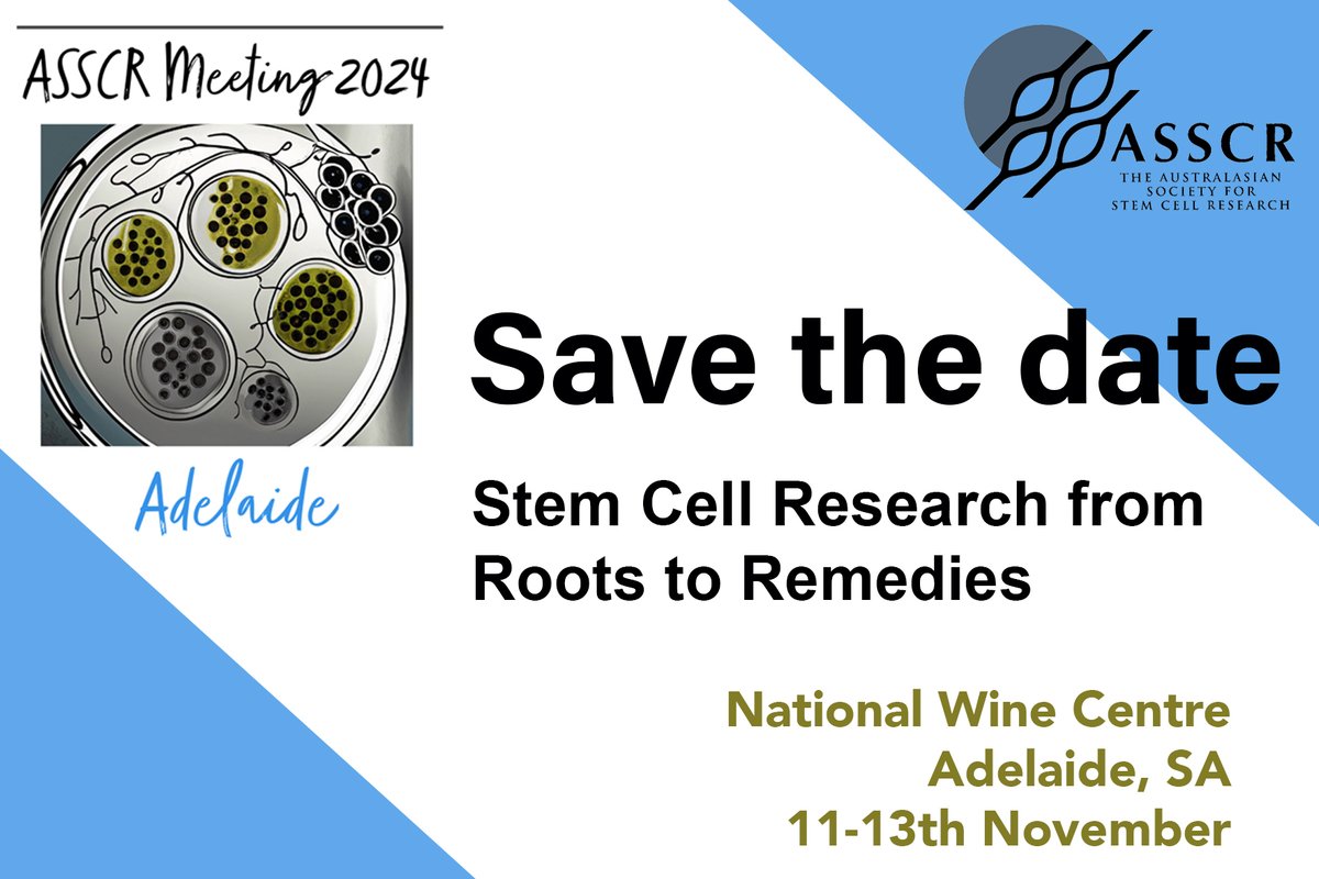 Australasian Society for Stem Cell Research (@the_asscr) on Twitter photo 🚨Mark it down in your diaries folks: The 2024 <a href="/the_ASSCR/">Australasian Society for Stem Cell Research</a> Meeting will be held on November 11th-13th in Adelaide this year. Stay tuned for speaker line-up and registration details! 🚨Mark it down in your diaries folks: The 2024 <a href="/the_ASSCR/">Australasian Society for Stem Cell Research</a> Meeting will be held on November 11th-13th in Adelaide this year. Stay tuned for speaker line-up and registration details!