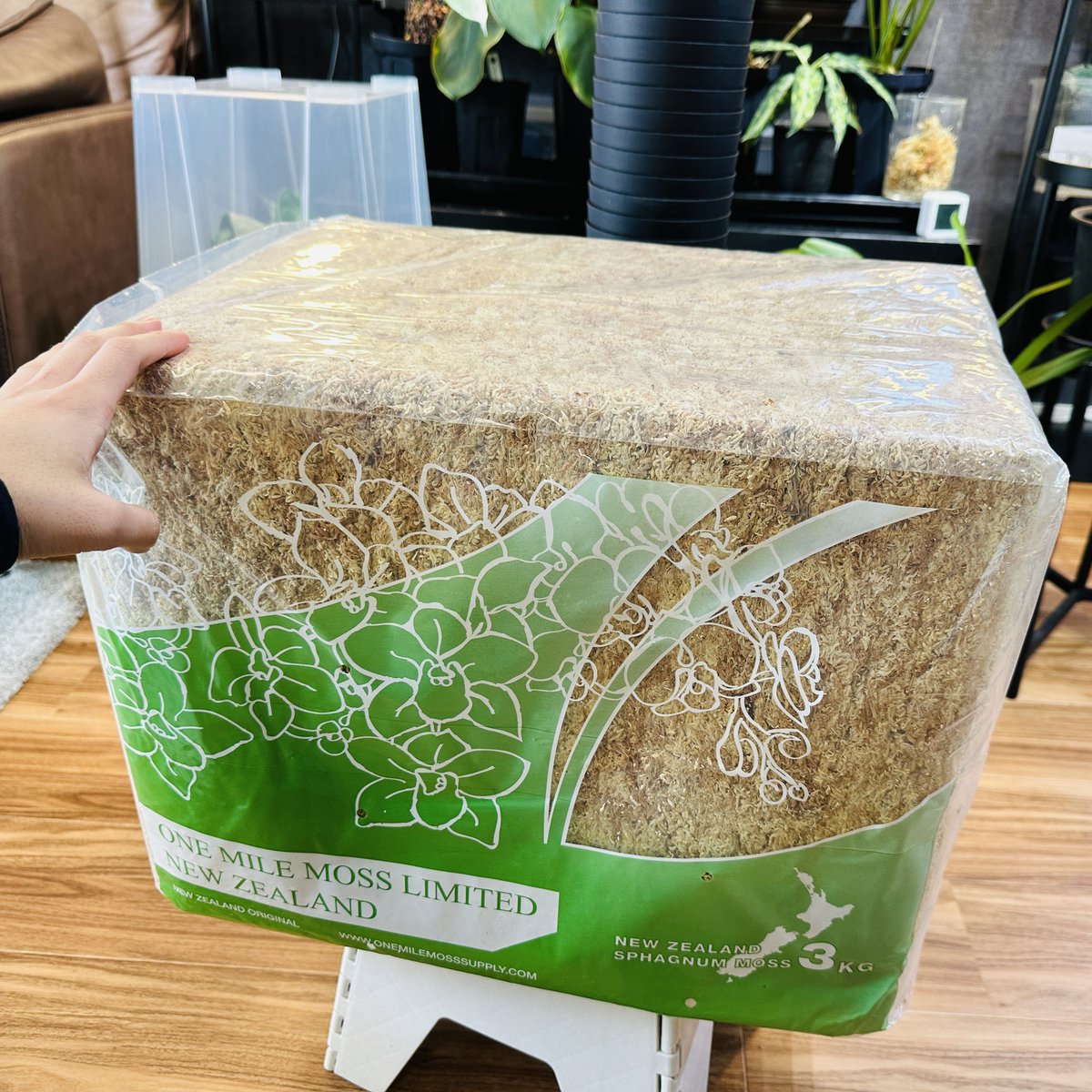 5A水苔3kg🤤 水苔には、いくつかメーカーがあってONE MILE MOSS