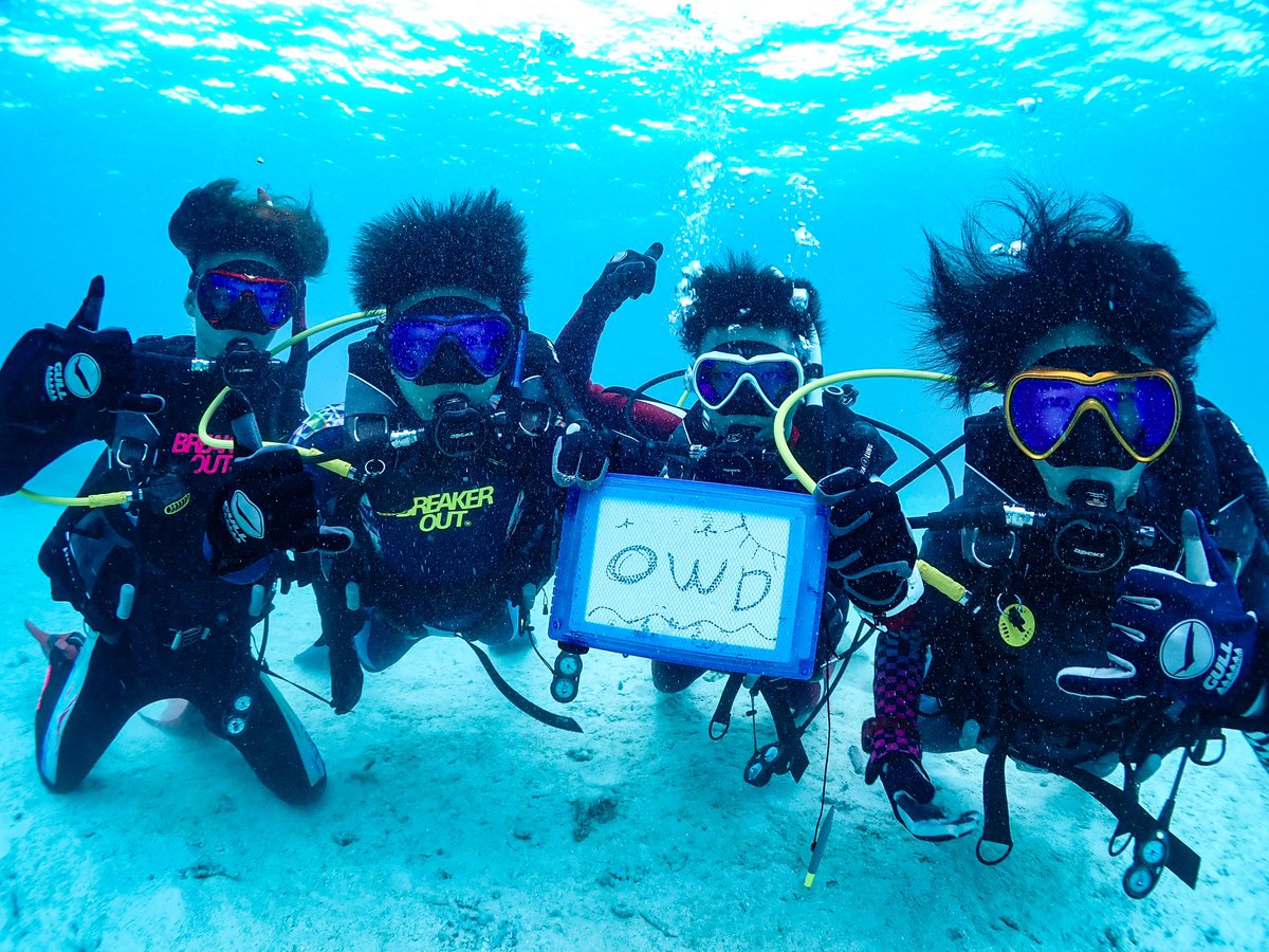 【ダイビングのプロを目指しませんか🤗✨】

全国に同じ夢を目指す仲間ができ🤿

宮古島という大自然が広がる島で
支え合いながら海の楽しさから学び
プロの道へ🌿
リゾスポへ足を運んでみては‼️

sanko.ac.jp/tokyo-sports/e…

#リゾスポ #宮古島  #ダイビン