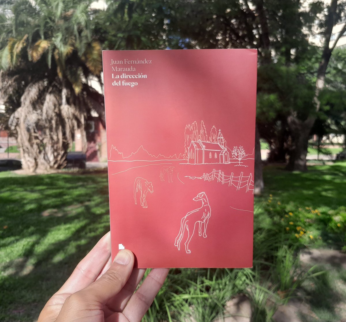 Ocio Casa de Libros tweet media