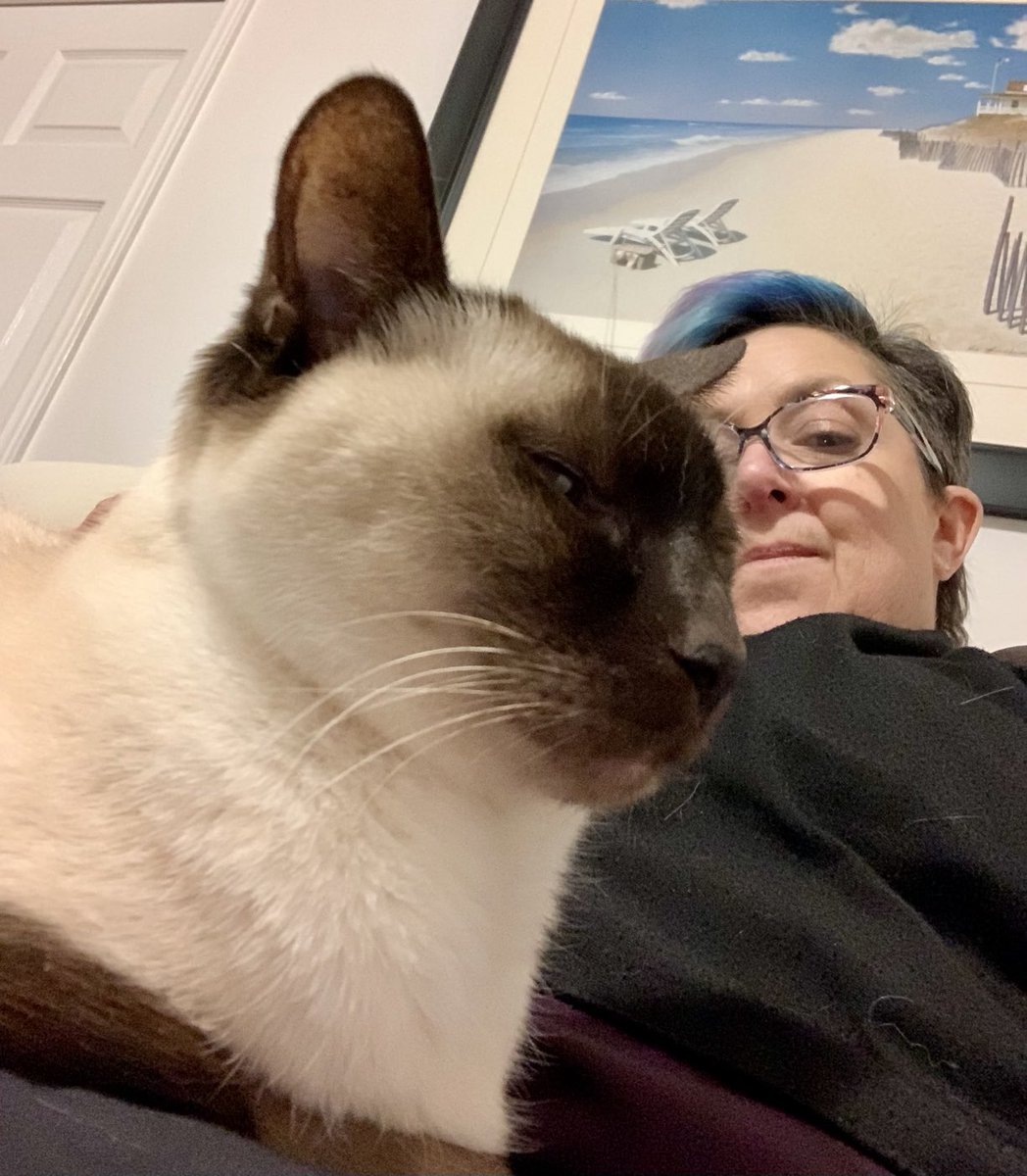 hfairb's tweet photo. When entrusted with the care and feeding of the Prince of Siam:
- Housemade scallop crudo. I said tiny pieces only.  ✅ 
- Cold water, please. No. Colder. ✅
- Post dinner nap. Don’t mind if I do. ✅
- Feel free to sweep up the dry food I used to decorate the floor of my suite✅ https://t.co/TC5o8WQ6iH