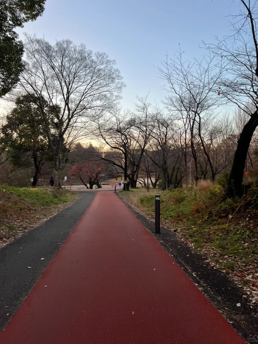 Gkuber's tweet image. 美しい冬🏃‍♀️朝のランニングの快感 朝はまだ寒いです。