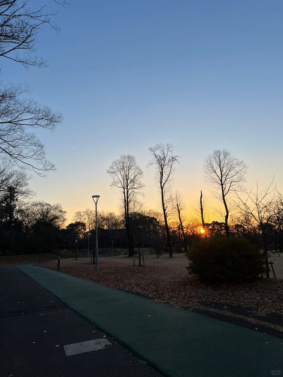 Gkuber's tweet image. 美しい冬🏃‍♀️朝のランニングの快感 朝はまだ寒いです。