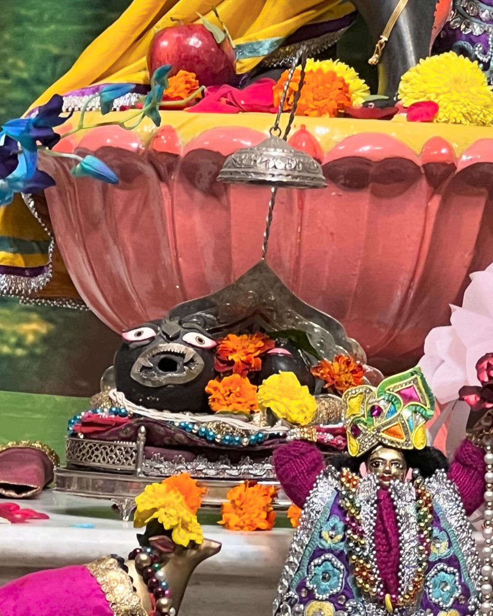iskconchd's tweet photo. 27th Feb2024 - श्री श्री राधा माधव मंगल आरती दर्शन🥰
🙌
हरे कृष्ण हरे कृष्ण कृष्ण कृष्ण हरे हरे।
हरे राम हरे राम राम राम हरे हरे।। 📿✨
#krishna #iskcon #motivation #success #love #innovation #education #future #india #creativity #inspiration #life #quotes #Chandigarh #Devotio https://t.co/u3OYQbnATT