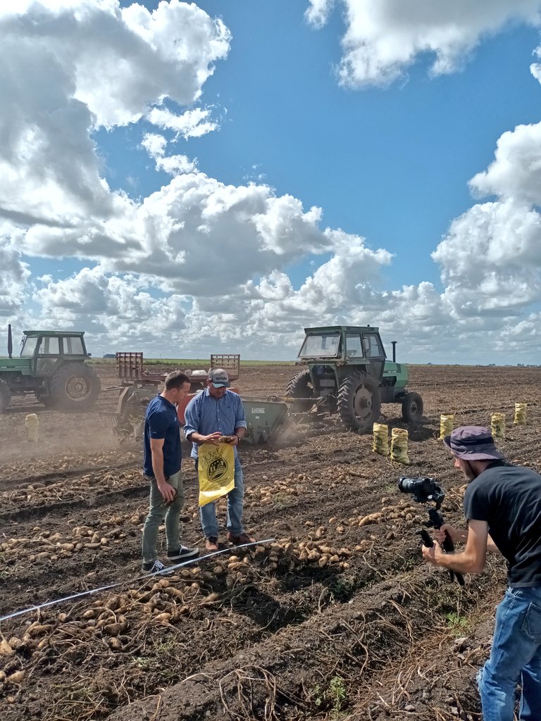 MVLagos's tweet photo. Hola cosecha de Papa 👋🥔🚜
Hoy grabamos a campo 🙂
Equipazo @Agropack + #Spraytec + #ZAudiovisuales https://t.co/Z84NFQvccP