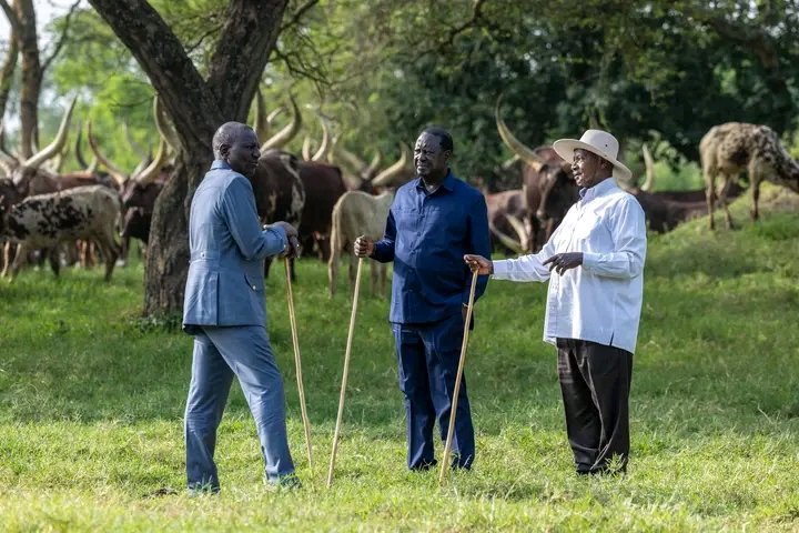 Kíríku wawa Kínyanjui🇰🇪 tweet media