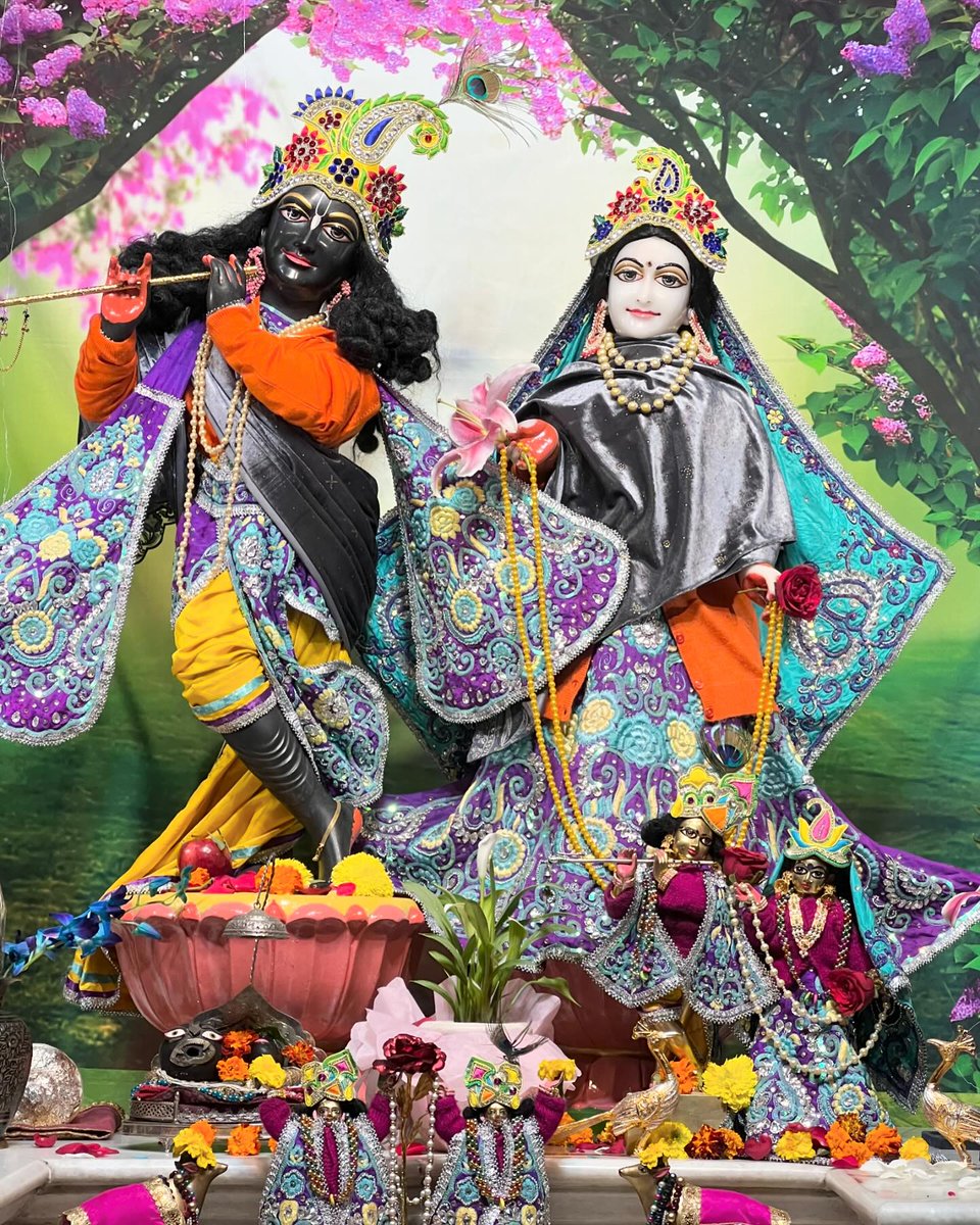 iskconchd's tweet photo. 27th Feb2024 - श्री श्री राधा माधव मंगल आरती दर्शन🥰
🙌
हरे कृष्ण हरे कृष्ण कृष्ण कृष्ण हरे हरे।
हरे राम हरे राम राम राम हरे हरे।। 📿✨
#krishna #iskcon #motivation #success #love #innovation #education #future #india #creativity #inspiration #life #quotes #Chandigarh #Devotio https://t.co/u3OYQbnATT