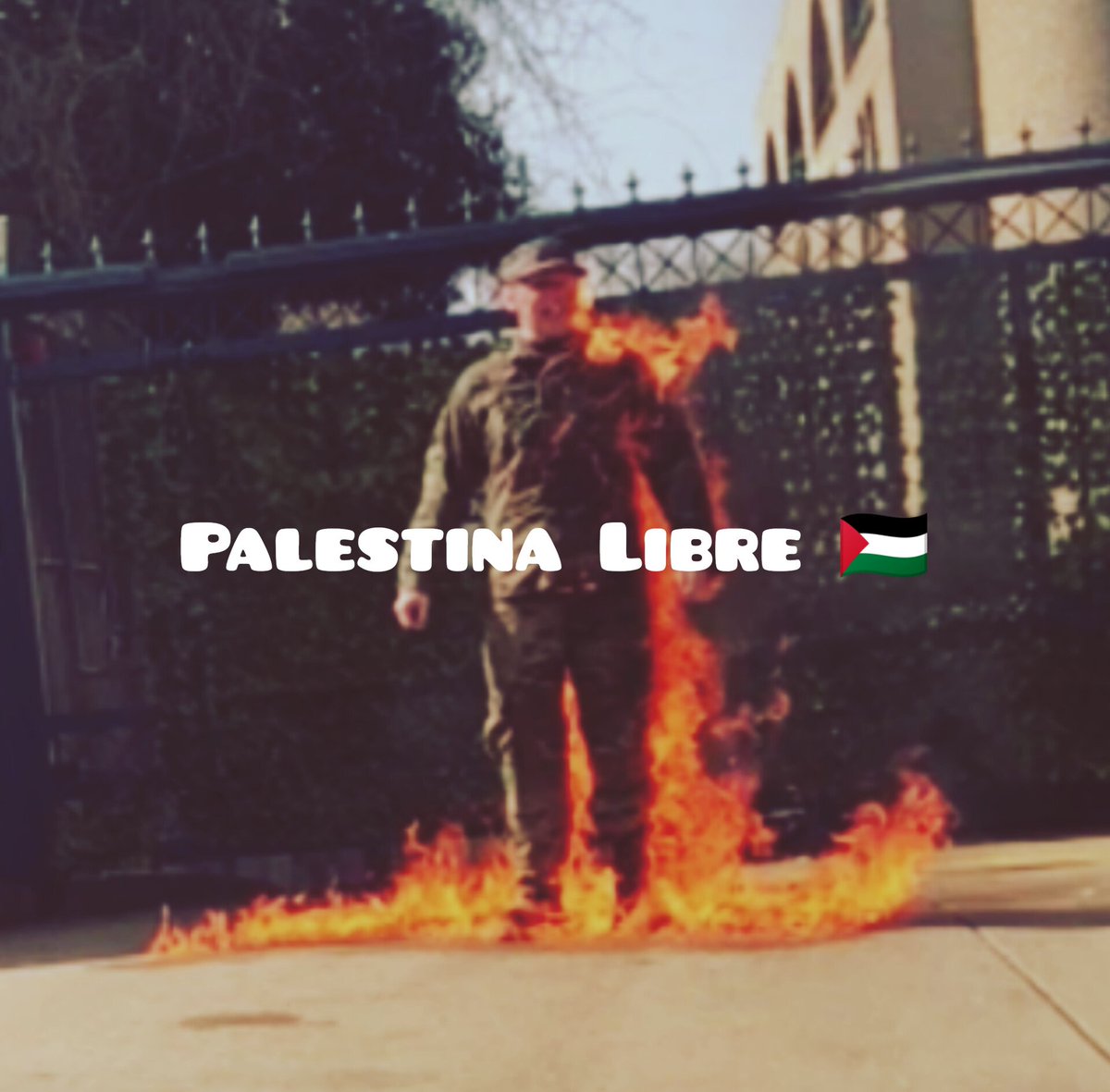 NatanaelBou's tweet photo. #PalestinaLibre #AaronBushnell https://t.co/svwo3ssPEu