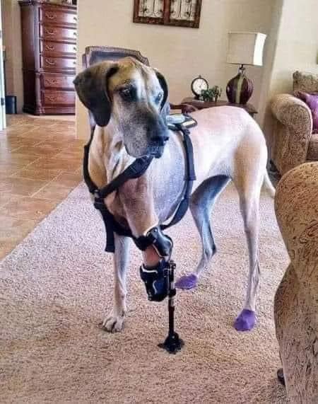 Today is my birthday 🎂🎁🎈🎉 but nobody wished me yet 😥