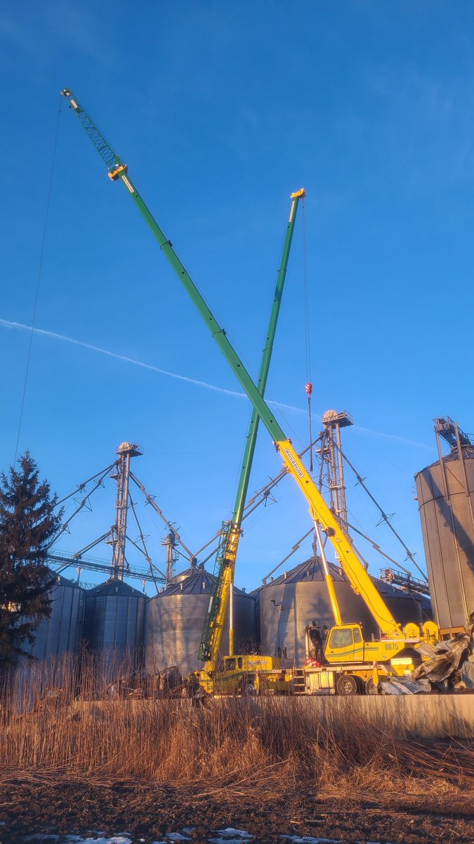tenwattandrew's tweet photo. #craneday https://t.co/PY6rDA43LJ