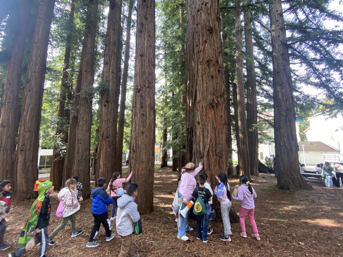 🍃🐻☀️🐾 2nd Grade UCSC Field Trip @zjgalvan @LCortezGUSD @GUSDFACE @BrownBearPRIDE @VillagomezMyra