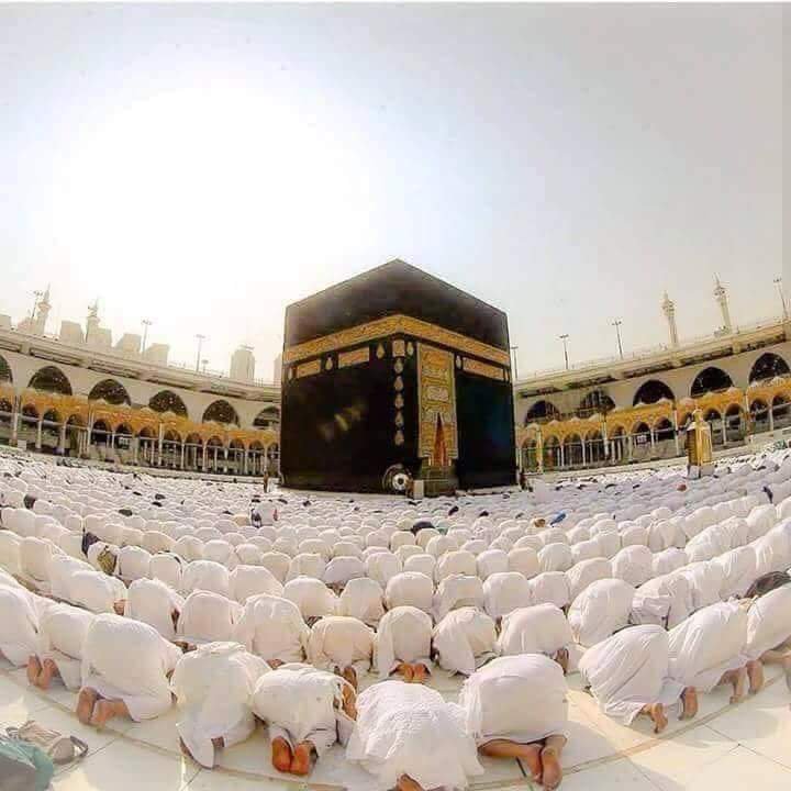 Awan Zadi ❤️ tweet media