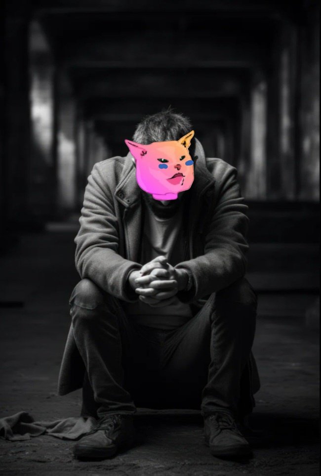 MrBxo tweet media