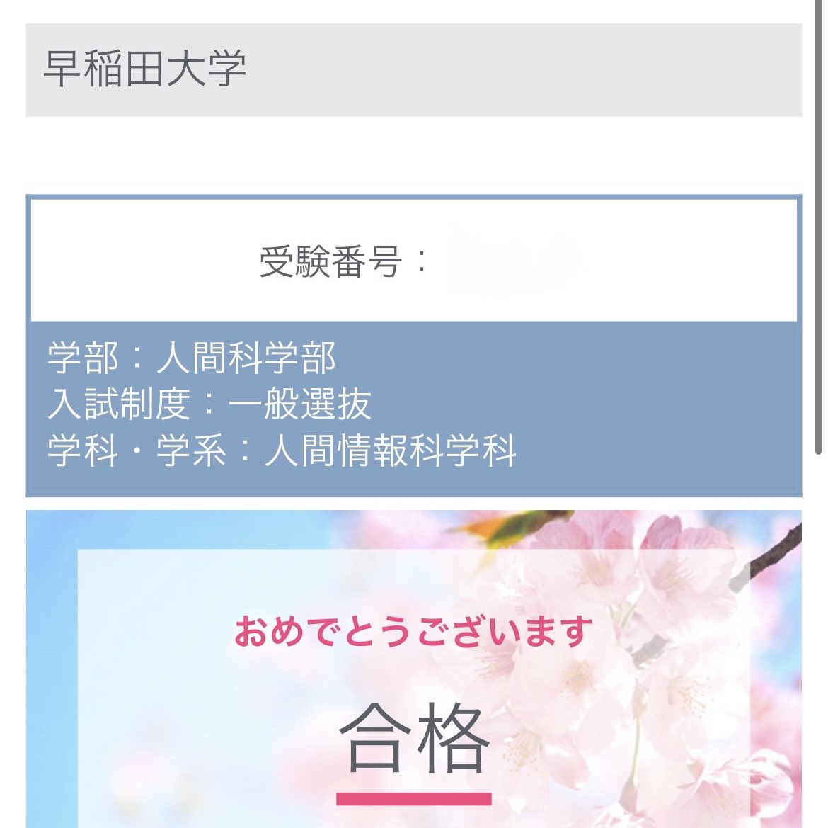 くま tweet media