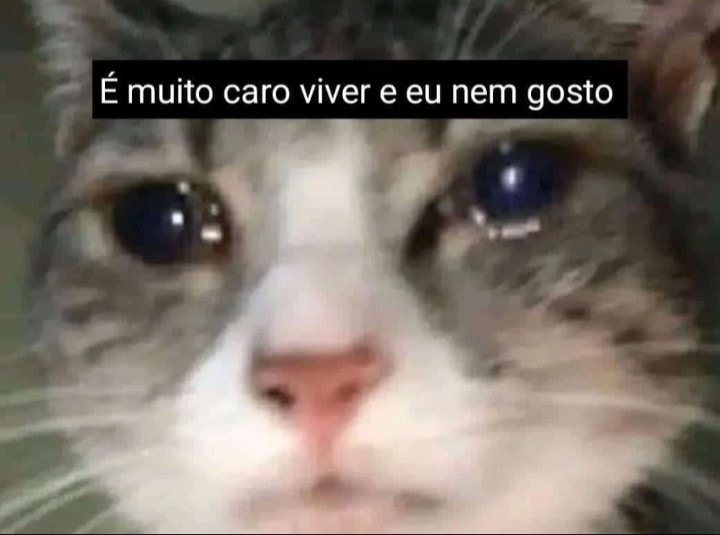 animaisfrases_'s tweet photo. https://t.co/rs4AraGB4s