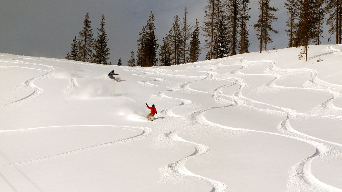 skilookout's tweet photo. 16" of Heavenly Sent POWDER was plundered Monday morning. That's on top of 6-8" we got Sun.
More Powder Days to enjoy later this week at Ski Lookout. It was indeed a Sick Day! Or should have been for those that missed it! #Powder #Skiing #SkiIdaho #SkiMT #MontanaMoment #ColdSmoke https://t.co/Qgg2ZIa43e