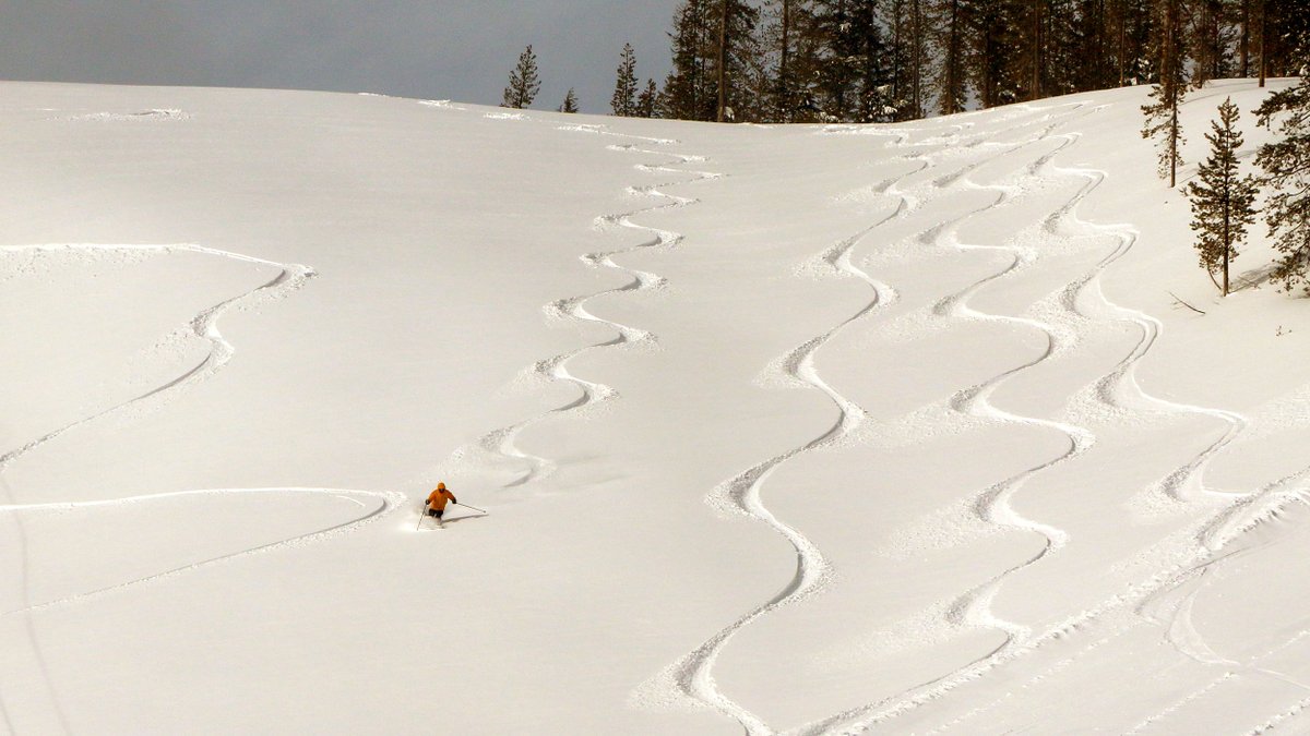 skilookout's tweet photo. 16" of Heavenly Sent POWDER was plundered Monday morning. That's on top of 6-8" we got Sun.
More Powder Days to enjoy later this week at Ski Lookout. It was indeed a Sick Day! Or should have been for those that missed it! #Powder #Skiing #SkiIdaho #SkiMT #MontanaMoment #ColdSmoke https://t.co/Qgg2ZIa43e