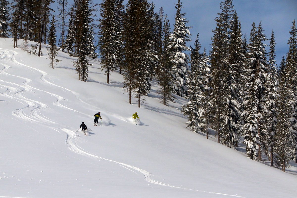 skilookout's tweet photo. 16" of Heavenly Sent POWDER was plundered Monday morning. That's on top of 6-8" we got Sun.
More Powder Days to enjoy later this week at Ski Lookout. It was indeed a Sick Day! Or should have been for those that missed it! #Powder #Skiing #SkiIdaho #SkiMT #MontanaMoment #ColdSmoke https://t.co/Qgg2ZIa43e