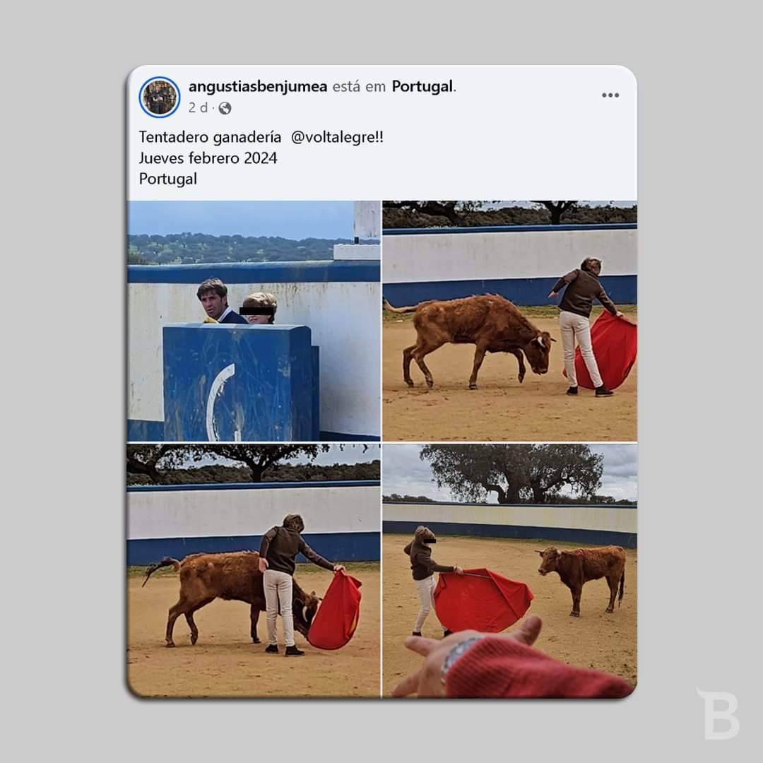 bastapt's tweet photo. Criança espanhola veio tourear a Portugal numa herdade privada. Os pais, orgulhosos, registaram e partilharam nas redes sociais. Em Portugal, os menores de 16 anos, não podem tourear.
#touradas #CPCJ #basta #InfanciaSemViolencia https://t.co/6OhImzKiyK