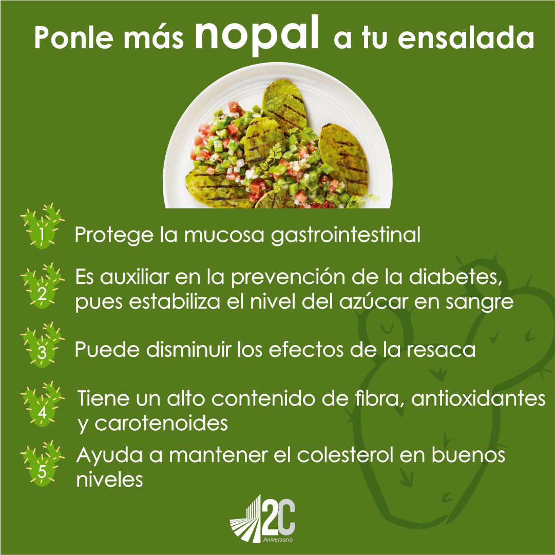 En este #LunesDeCactáceas les presentamos el #nopal.
¿Sabías que es una cactácea? Sí, de las llamadas “Opuntias” y de las cuales hay más de 300 especies. ¿Conoces cuáles son sus beneficios? El nopal aporta grandes beneficios a nuestra dieta.