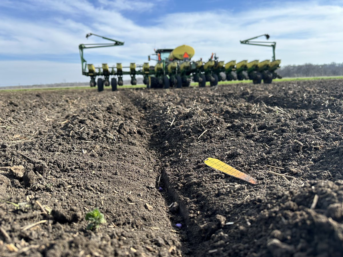 brady2011scott's tweet photo. Doesn’t get much better than that #plant2024 #texasag #furrowforce @PrecisionPlant @Asgrow_DEKALB @IntegraSeed https://t.co/IMWqxi1jtg