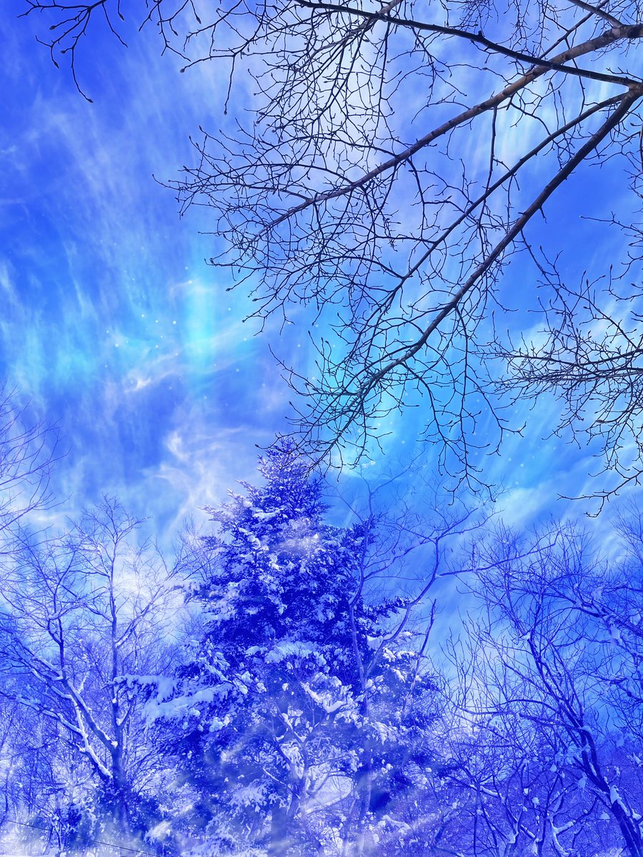 二月の雪は
樅木を飾らず
失うためのただいちど
啜り哭くヴィオール
希望に対峙する翼はなく
光はいいたがるから
ふれたがる青を遠けた
雲間を征く人生の
すっからからんな戯言は
やがて喧騒に紛れ込む

……しまった
そろそろ終演だ

美しい沈黙を
いとおしい静寂を
懐かしいいとなみを

しまった……