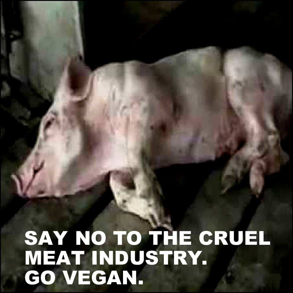 Say NO to the cruel meat industry. Go vegan