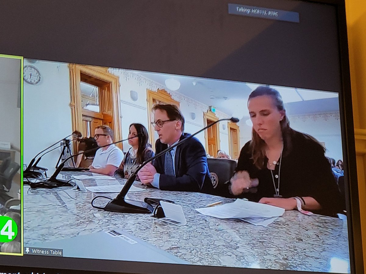 ADLMtnStates's tweet photo. ADL Mountain States Board member Tamir Goldstein just testified against Colorado House Bill 1169 and the dangers of the BDS movement. #coleg https://t.co/dtNuetOONb