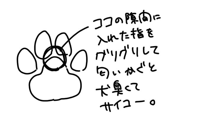 あまり理解されないヘキです 