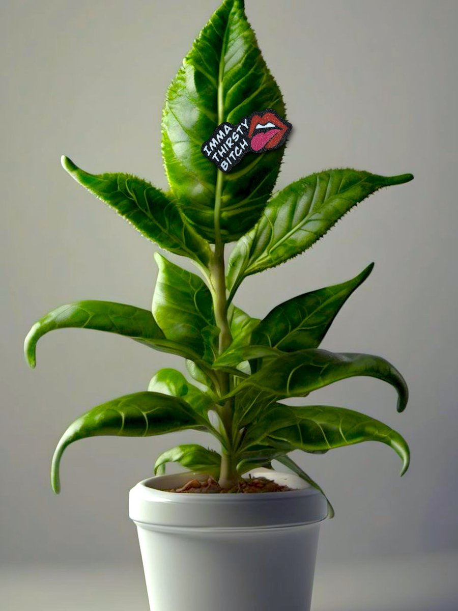 QuirkWerks tweet media