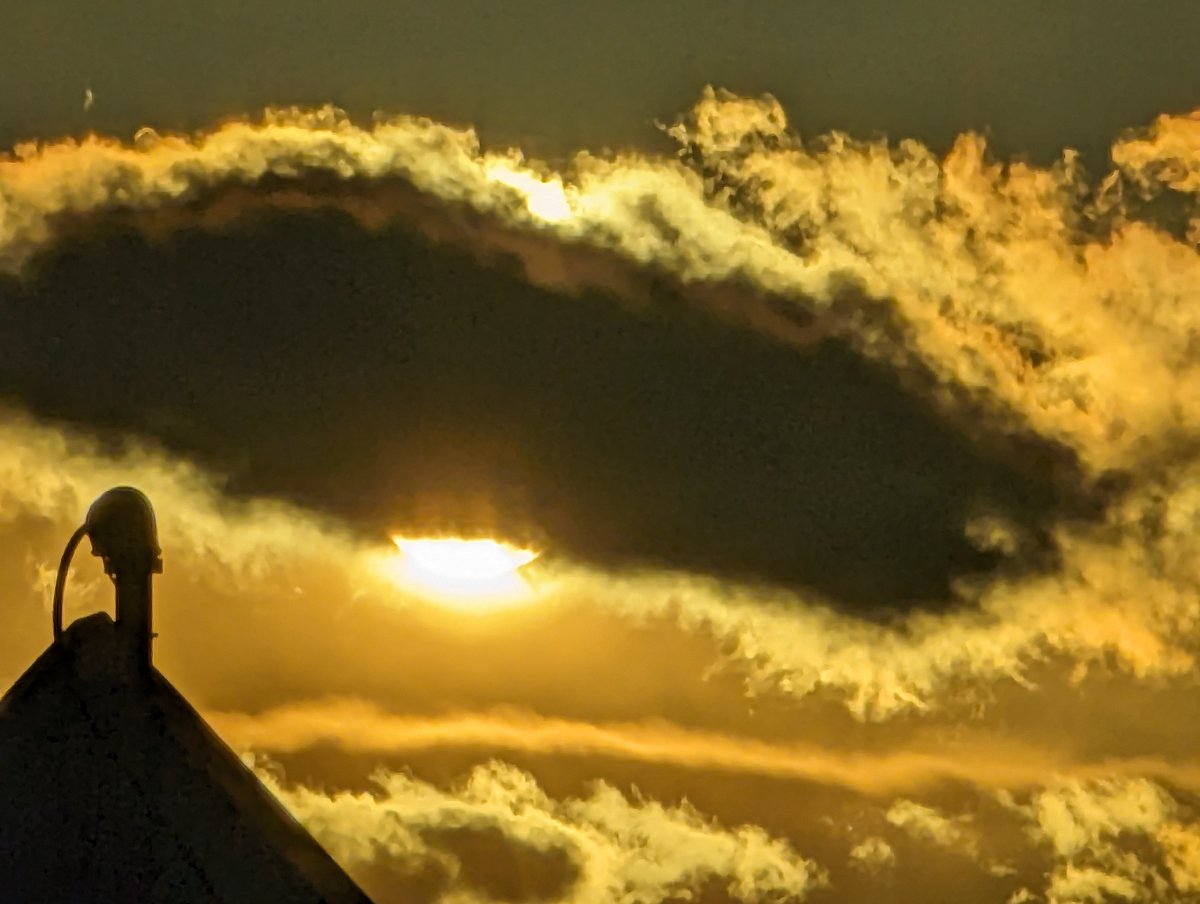 Suntonio Bandanaz tweet media