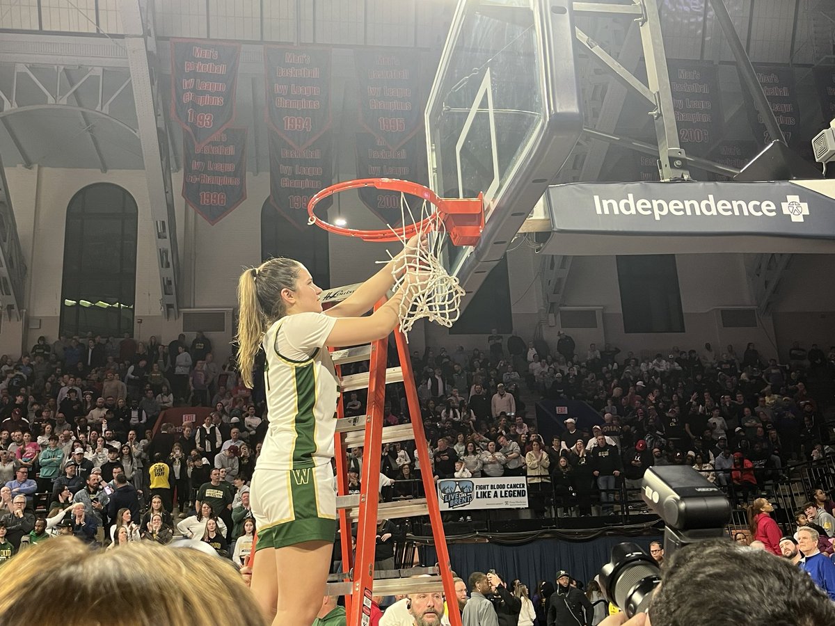 Andrew Robinson tweet media