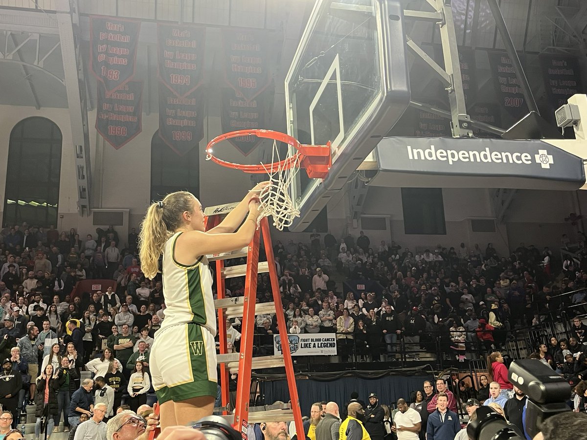 Andrew Robinson tweet media