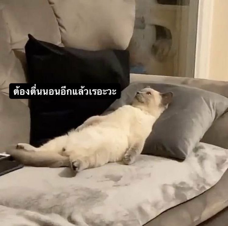 สภาพนี้ทุกเช้า 55555555555555