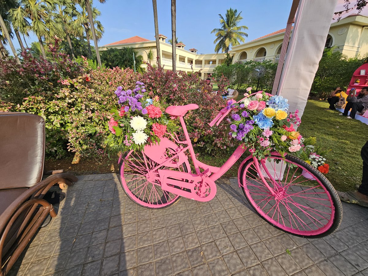 Daily Picture Theme tweet media