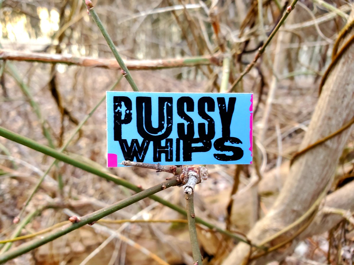 pdforan's tweet image. Hooked on a band @LoriSambolBrody tipped me off to. Their songs “Pocket Baby” &amp;amp; “I Knew What You Wanted Then (Nothing From Me)” come alive in her fab story "In the Canyon" 💛 in @MudRoomMag Experience it here: mudroommag.com/lori-sambol-br… Thx for the band stickers Lori &amp;amp; @SlubDesign!