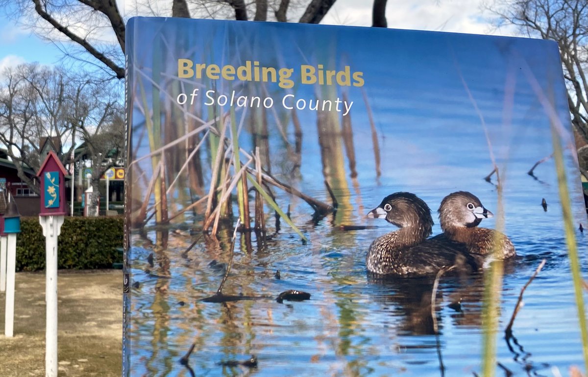 Visit Vacaville (@VisitVacaville) / Posts / X